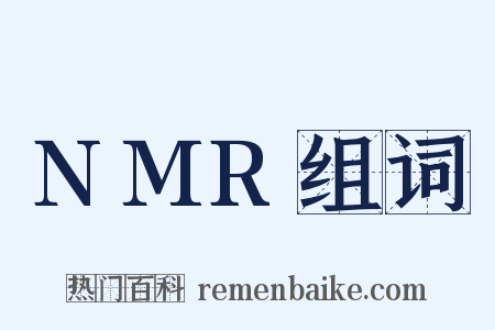 NMR组词是什么意思的图片